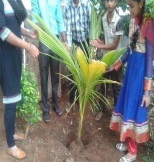 Environment Day